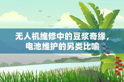 无人机维修中的豆浆奇缘，电池维护的另类比喻