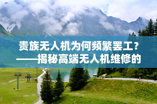 贵族无人机为何频繁罢工？——揭秘高端无人机维修的独特挑战