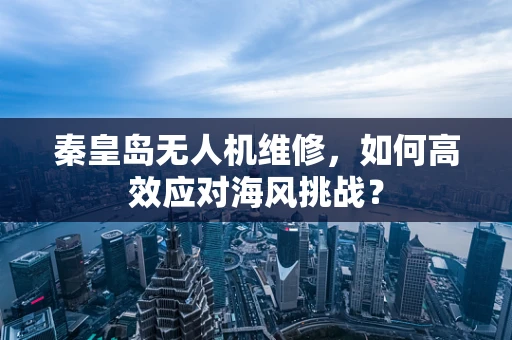 秦皇岛无人机维修，如何高效应对海风挑战？