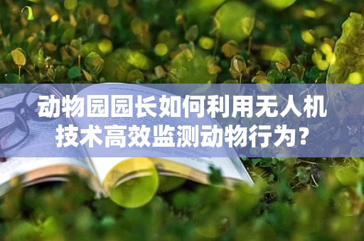 动物园园长如何利用无人机技术高效监测动物行为？