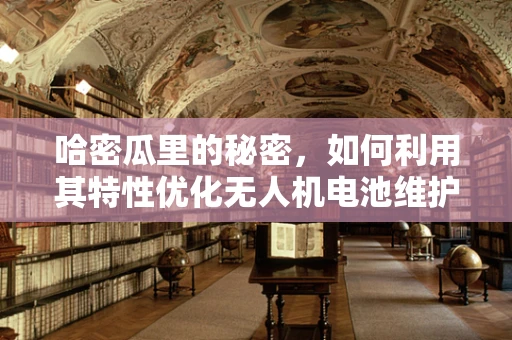 哈密瓜里的秘密，如何利用其特性优化无人机电池维护？
