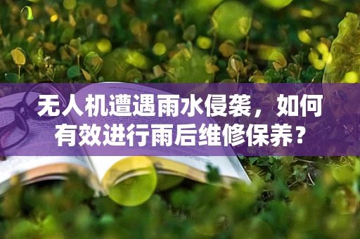 无人机遭遇雨水侵袭，如何有效进行雨后维修保养？