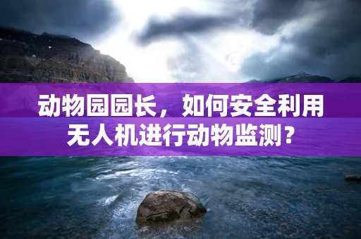 动物园园长，如何安全利用无人机进行动物监测？