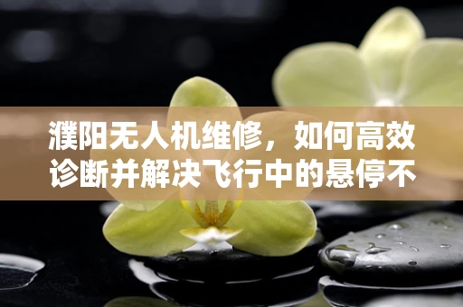 濮阳无人机维修，如何高效诊断并解决飞行中的悬停不稳问题？