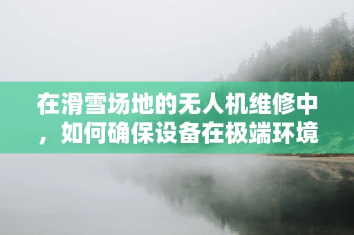 在滑雪场地的无人机维修中，如何确保设备在极端环境下的稳定运行？