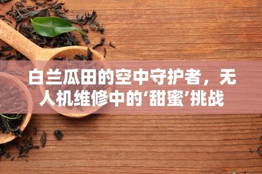 白兰瓜田的空中守护者，无人机维修中的‘甜蜜’挑战
