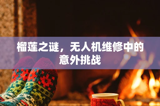榴莲之谜，无人机维修中的意外挑战