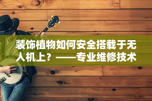 装饰植物如何安全搭载于无人机上？——专业维修技术员的解答