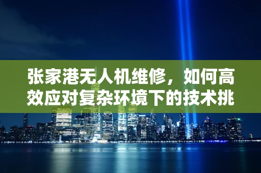 张家港无人机维修，如何高效应对复杂环境下的技术挑战？