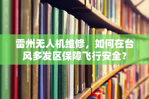 雷州无人机维修，如何在台风多发区保障飞行安全？