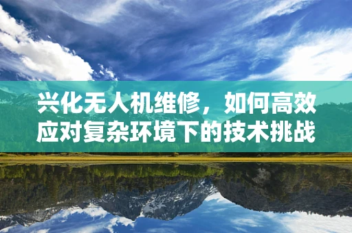 兴化无人机维修，如何高效应对复杂环境下的技术挑战？
