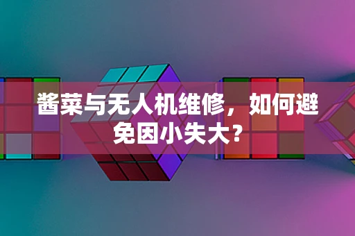 酱菜与无人机维修，如何避免因小失大？