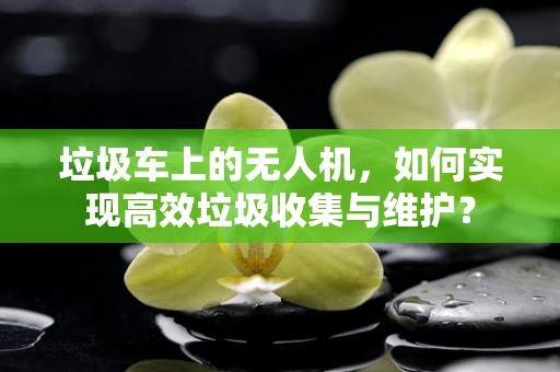 垃圾车上的无人机，如何实现高效垃圾收集与维护？