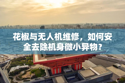 花椒与无人机维修，如何安全去除机身微小异物？