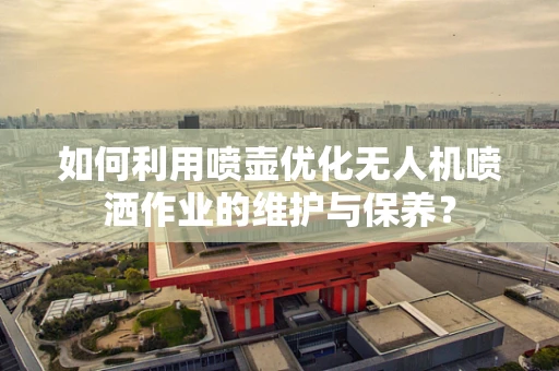 如何利用喷壶优化无人机喷洒作业的维护与保养？