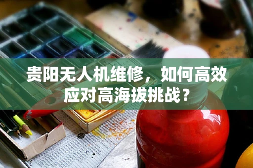 贵阳无人机维修，如何高效应对高海拔挑战？