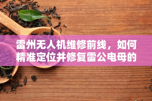 雷州无人机维修前线，如何精准定位并修复雷公电母的挑战？