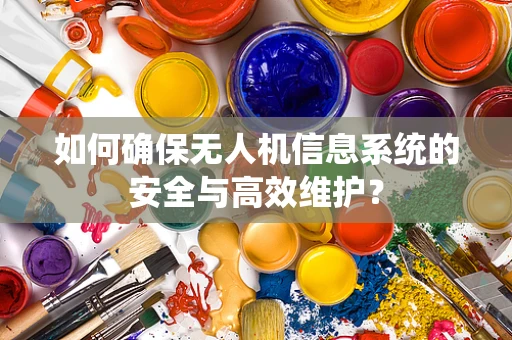 如何确保无人机信息系统的安全与高效维护？