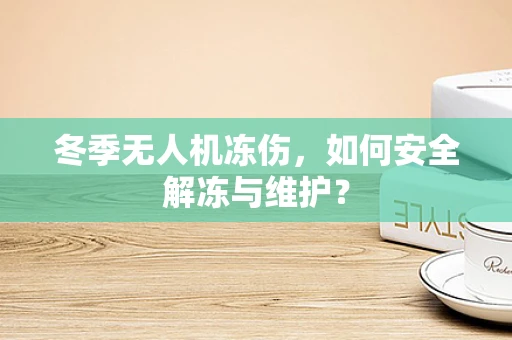 冬季无人机冻伤，如何安全解冻与维护？