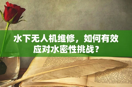 水下无人机维修，如何有效应对水密性挑战？