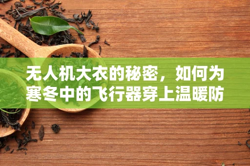 无人机大衣的秘密，如何为寒冬中的飞行器穿上温暖防护？