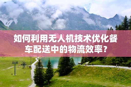 如何利用无人机技术优化餐车配送中的物流效率？