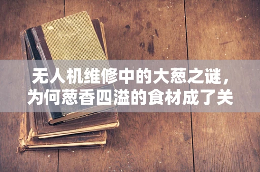 无人机维修中的大葱之谜，为何葱香四溢的食材成了关键线索？