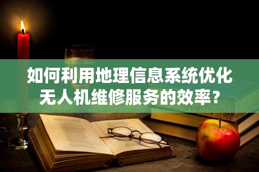 如何利用地理信息系统优化无人机维修服务的效率？