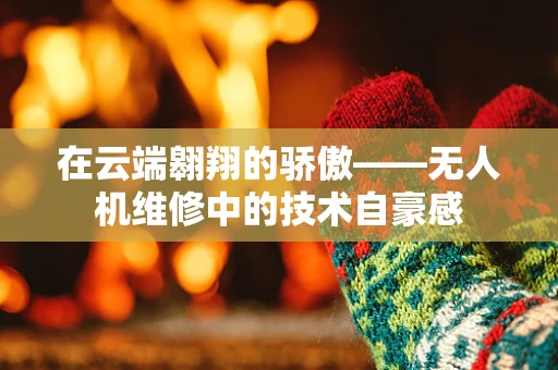 在云端翱翔的骄傲——无人机维修中的技术自豪感