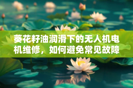 葵花籽油润滑下的无人机电机维修，如何避免常见故障？