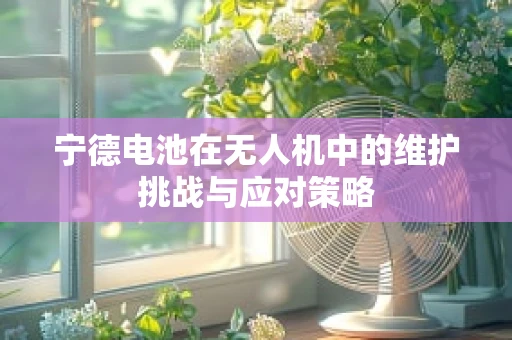 宁德电池在无人机中的维护挑战与应对策略