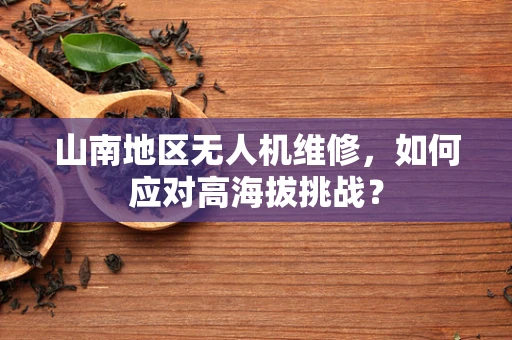 山南地区无人机维修，如何应对高海拔挑战？
