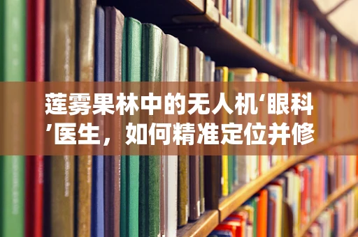 莲雾果林中的无人机‘眼科’医生，如何精准定位并修复避障系统？