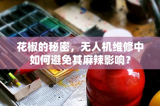 花椒的秘密，无人机维修中如何避免其麻辣影响？