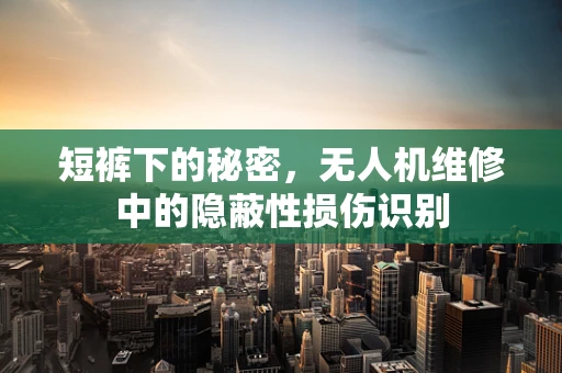 短裤下的秘密，无人机维修中的隐蔽性损伤识别