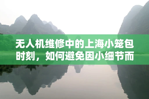 无人机维修中的上海小笼包时刻，如何避免因小细节而导致的大麻烦？