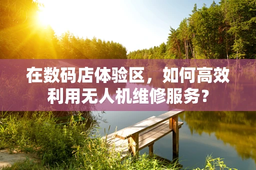在数码店体验区，如何高效利用无人机维修服务？