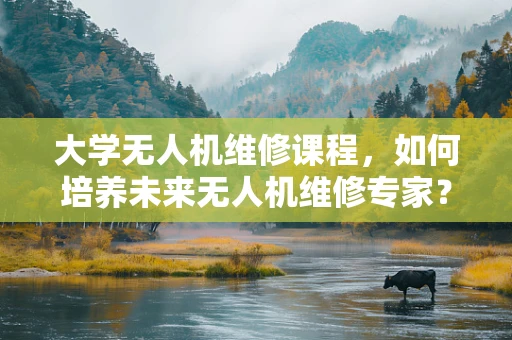 大学无人机维修课程，如何培养未来无人机维修专家？