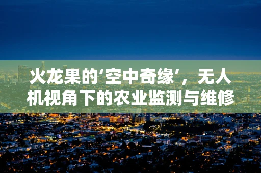 火龙果的‘空中奇缘’，无人机视角下的农业监测与维修挑战
