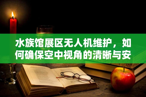 水族馆展区无人机维护，如何确保空中视角的清晰与安全？