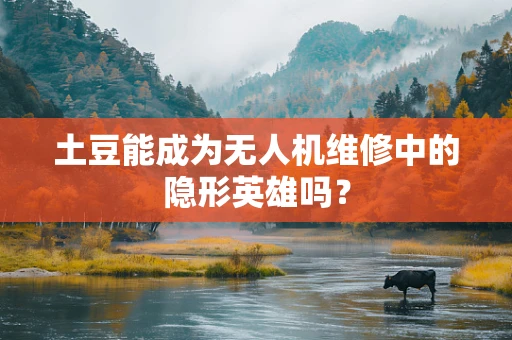 土豆能成为无人机维修中的隐形英雄吗？