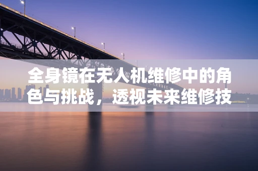 全身镜在无人机维修中的角色与挑战，透视未来维修技术