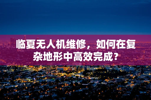 临夏无人机维修，如何在复杂地形中高效完成？