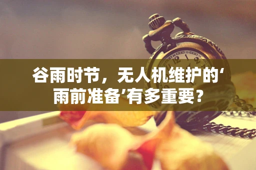谷雨时节，无人机维护的‘雨前准备’有多重要？