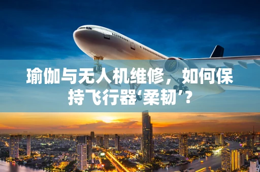 瑜伽与无人机维修，如何保持飞行器‘柔韧’？