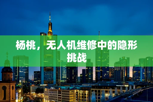 杨桃，无人机维修中的隐形挑战