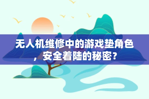 无人机维修中的游戏垫角色，安全着陆的秘密？