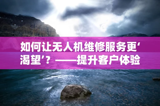 如何让无人机维修服务更‘渴望’？——提升客户体验的探索