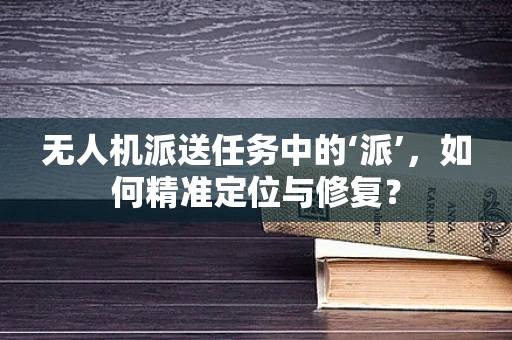 无人机派送任务中的‘派’，如何精准定位与修复？