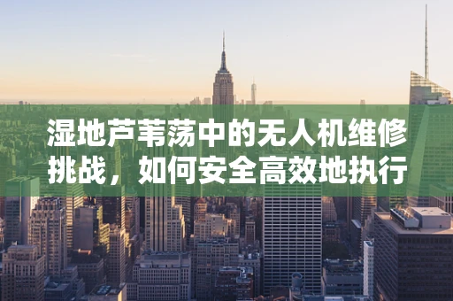 湿地芦苇荡中的无人机维修挑战，如何安全高效地执行任务？